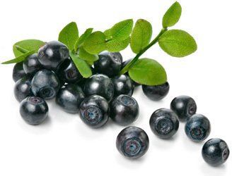 bilberry